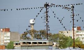 Klaipėda: VE.lt pristato spalio 10 dienos įvykius