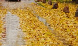 Klaipėda: VE.lt pristato spalio 23 dienos įvykius