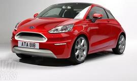 Nauja mažylio "Ford Ka" karta bus vienoda visame pasaulyje