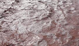 Tris Vengrijos kaimus užliejo nuodingos atliekos