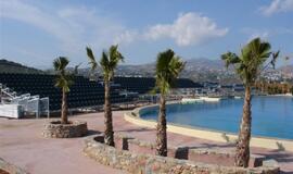 Klaipėdos delfinai jau apsipranta Graikijoje