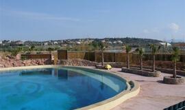 Klaipėdos delfinai jau apsipranta Graikijoje