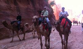 Raudonoji dykumų rožė Petra: stebuklai uolose