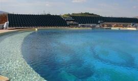 Klaipėdos delfinai jau apsipranta Graikijoje