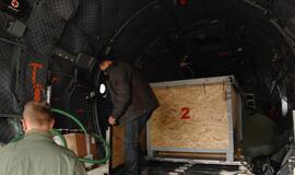 Delfinai išskrido į Graikiją