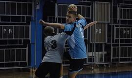 "Žemaitijos dragūną" parklupdė dzūkai