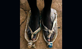 Bulvaras: tikėk - netikėk