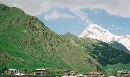 Gruzija nori atkurti savo žemės ūkį su būrų iš Afrikos pagalba