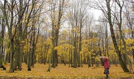 Klaipėda: VE.lt pristato lapkričio 12 dienos įvykius