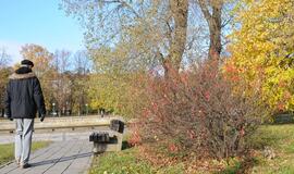 Klaipėda: VE.lt pristato lapkričio 17 dienos įvykius