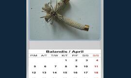 Nuobodžiausia diena istorijoje - 1954 m. balandžio 11-oji