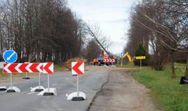 Ties Plytine iš kelkraščių šalinami medžiai