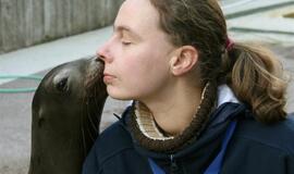 Kadrai iš Kalifornijos jūrų liūtės Matildos gyvenimo