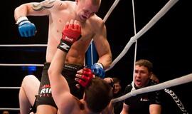 Bušido turnyras "Bushido FC Hero's 2010"