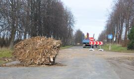 Ties Plytine iš kelkraščių šalinami medžiai