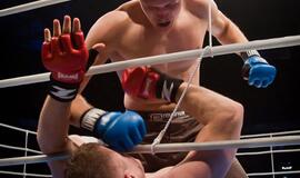 Bušido turnyras "Bushido FC Hero's 2010"