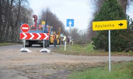 Ties Plytine iš kelkraščių šalinami medžiai