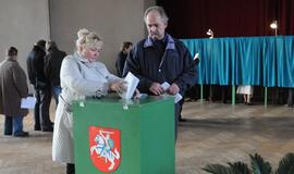 Rinkti Seimo narius siūloma tik vienmandatėse apygardose