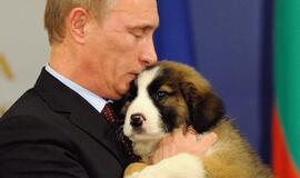 Visa Rusija renka vardą premjero Vladimiro Putino šunyčiui