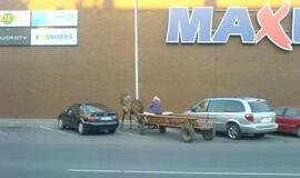 Bulvaras: tikėk - netikėk