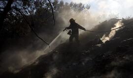 Izraelyje užgesintas gaisras prie Haifos