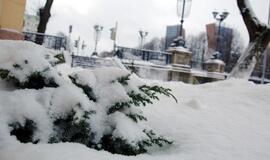 Klaipėda: VE.lt pristato gruodžio 10 dienos įvykius