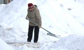 Klaipėdos valdininkai: sniegą iš kiemų išvešime