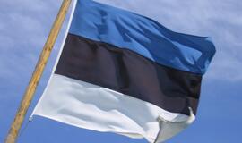 Nepaisydama euro zonos problemų Estija yra pasirengusi įsivesti eurą