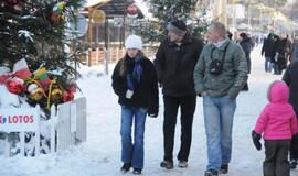 Palangoje - kalėdinių eglių alėja