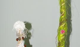 Originalios Klaipėdos pedagogų, darželinukų ir tėvelių eglutės