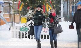 Palangoje - kalėdinių eglių alėja