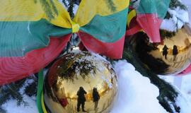 Palangoje - kalėdinių eglių alėja