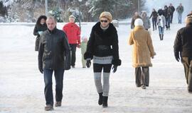 Palangoje - kalėdinių eglių alėja