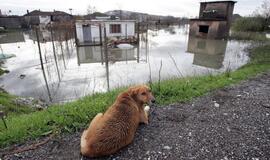 Albaniją skalauja smarkūs potvyniai