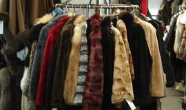 Vagys išnešė kailinius