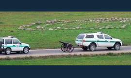 Bulvaras: tikėk - netikėk