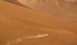 Dakaro ralis: aštuntojo etapo rezultatai