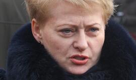 Dalia Grybauskaitė - už atliekų deginimą
