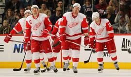 Detroito ledo ritulininkai pralaimėjo išvykoje