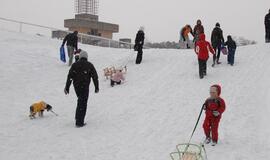 Klaipėda: VE.lt pristato sausio 27-osios įvykius