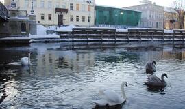 Klaipėda: VE.lt pristato sausio 5 dienos įvykius