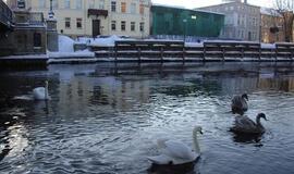 Klaipėdos pirmadienis, sausio 3-oji