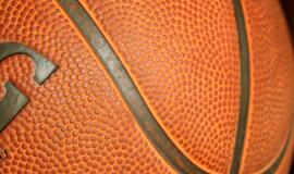 LKL: sunki "Lietuvos ryto" pergalė prieš "Techasą"