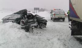 Vilkikas sumaitojo lengvąjį automobilį