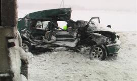 Vilkikas sumaitojo lengvąjį automobilį