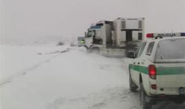 Vilkikas sumaitojo lengvąjį automobilį