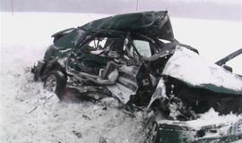 Vilkikas sumaitojo lengvąjį automobilį