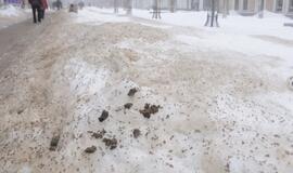 Tirpstančiame sniege - šiukšlių klodai