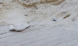 Tirpstančiame sniege - šiukšlių klodai