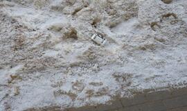 Tirpstančiame sniege - šiukšlių klodai